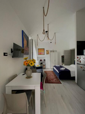 Musinè House Torino